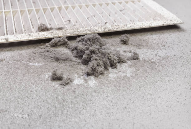 Best Commercial Air Duct Cleaning  in Haiku Pauwela, HI