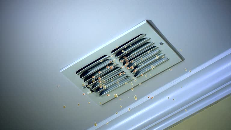 Best Air Vent Cleaning Services  in Haiku Pauwela, HI