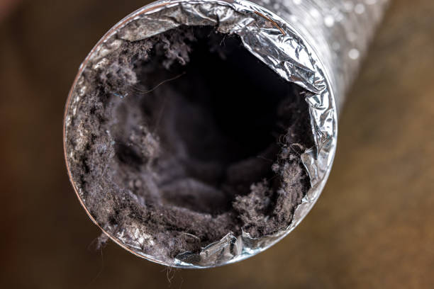 Professional Airduct Cleaning in HI