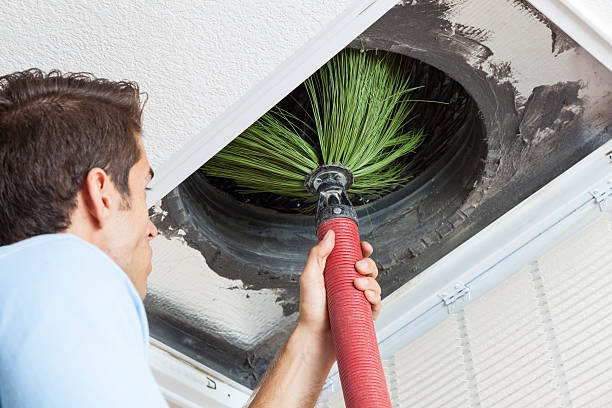 Best Home Air Vent Cleaning  in Haiku Pauwela, HI
